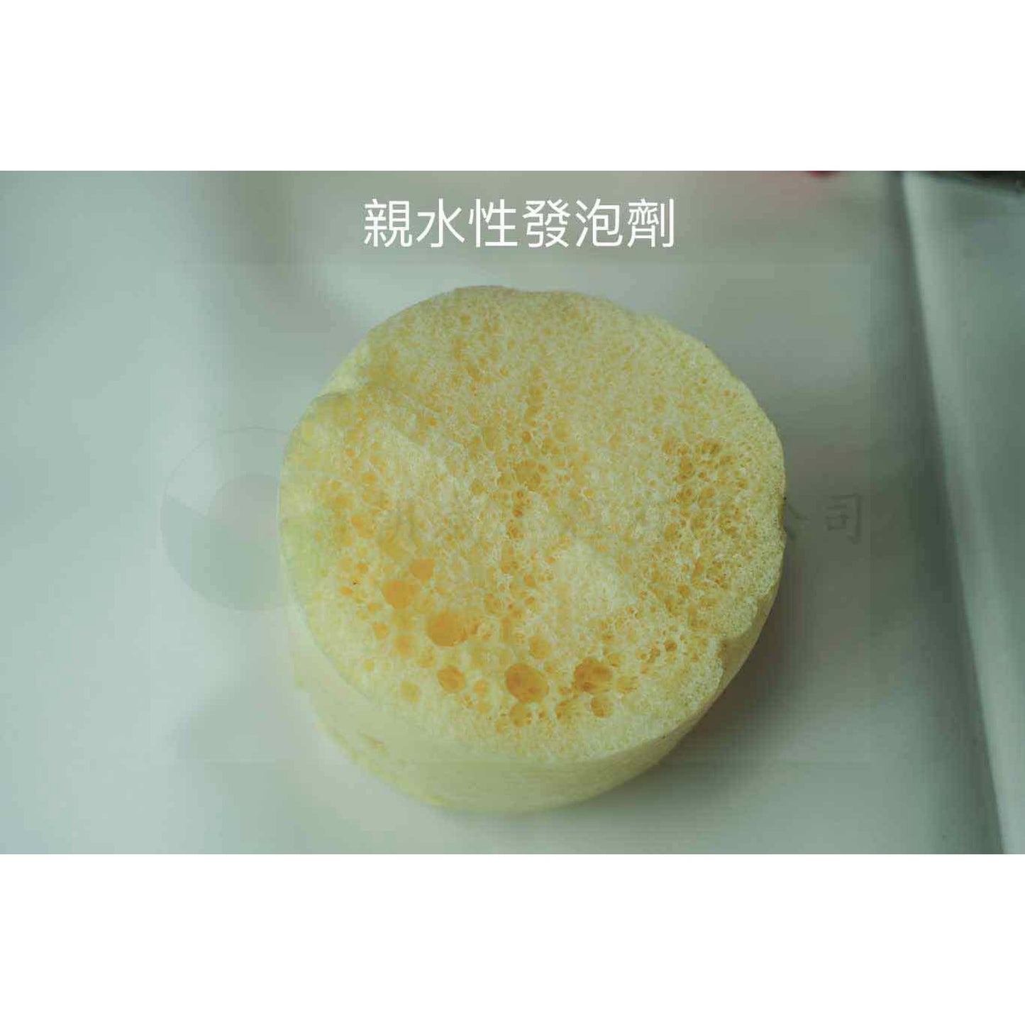 親水性發泡劑